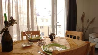 Cluj City Iris Appartment - 1