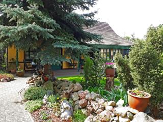 Pension Zum weißen Hirsch - Reitwein - 3