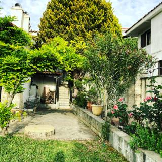 Bright & Spacious Seaview Villa - Siviri - 7
