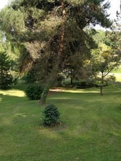 le jardin d Eau - Lamothe-Montravel - 6