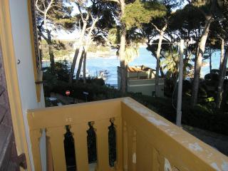 Villa Violetta - Castiglioncello - 6