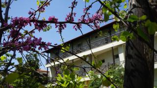 Hotel Morfeas - Platamonas - 3