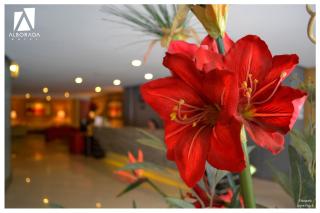 Hotel Alborada - Concepción - 1