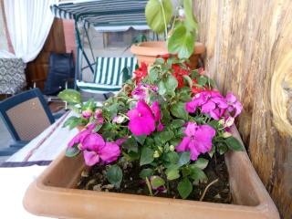 Tamar Guest House - Gori - 5