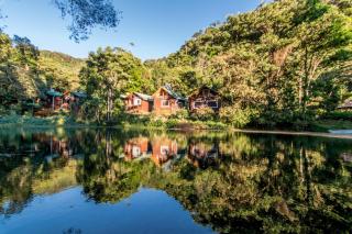 Sueños del Bosque Lodge - 0
