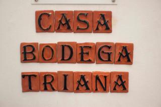 Casa Bodega Triana - Vejer de la Frontera - 9