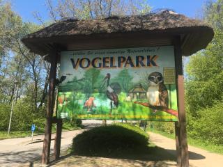 Fe-Wo im Dänemarkweg - Niendorf - 9