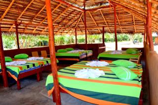 Rivosen Camp Yala Safari - Yala - 8