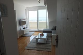 Apartment Silvija - Novalja - 1
