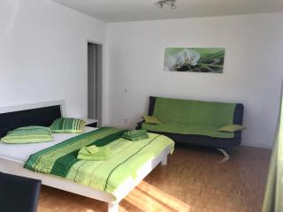 Apartment al Lido Ascona - Ascona - 8