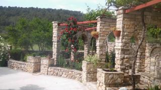 Ruža - Skradin - 9