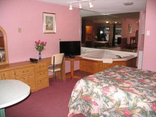 Seven Oakes Motel - Kingston - 3