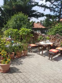 Haus Andrea - Wernigerode - 2
