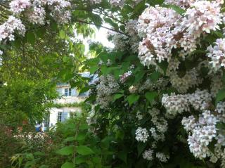 La Butte de Gohier - Blaison - 0