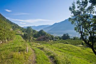 Agriturismo Ruc del Lac - Darfo Boario Terme - 6