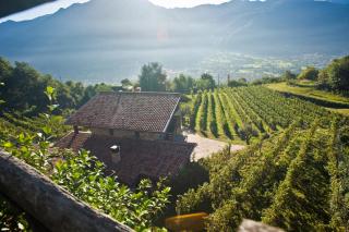 Agriturismo Ruc del Lac - Darfo Boario Terme - 0