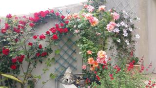 Au Bon Penequet - Pujaut - 4