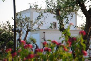 Casale del Murgese Country Resort - 1