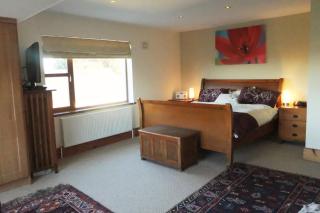 Tobernaglough Wexford pet friendly country b&b - Ramsgrange - 2