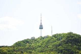 Namsan Forest in Myeongdong - Seul - 3