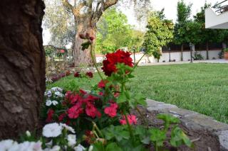 Tsafas Αpartments - Limenas - 2