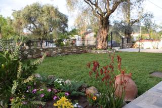 Tsafas Αpartments - Limenas - 3