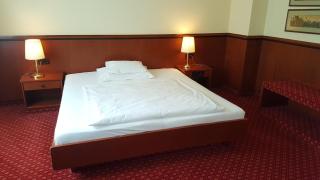 Landhotel Jagdhof - Guntramsdorf - 1