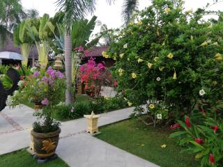 Villa Gusmania - 7