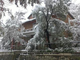 Metaxas Mansion - Kakopetria - 0