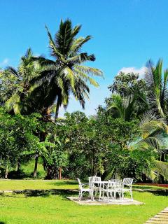 Rajarata Family Resort - 9