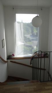 Wohnung in Haiding/Wels - 7