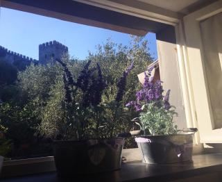 La Casa Di Giorgia - Portovenere - 9