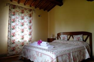 Canto De' Bacci - Foiano della Chiana - 9