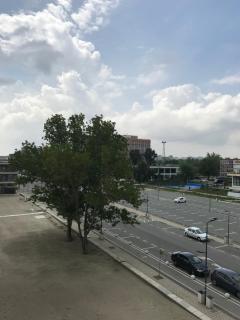 Hotel Golden Palace - Mamaia - 5