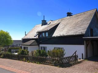 Detached house with sauna, 50m from ski lifts - Winterberg - 0