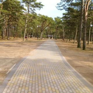Wczasy u Ireny - Lubiatowo - 4