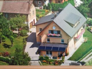 Haus Elvira - Sankt Stefan an der Gail - 8