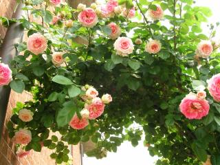 B&B Anna - Moncalieri - 2