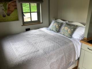 Luxury Shepherds Hut - 5