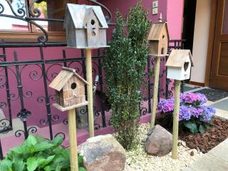Auberge Le Meisenberg - Châtenois - 5