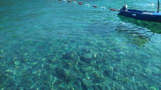 Apartmani Jovanovic - Luštica - 0