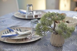 Bed & Breakfast Venezia - Marina di Carrara - 2