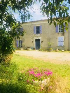 Domaine Mas Pigné - 4