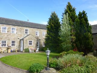 The Gin Gan - Hexham - 1