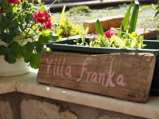 Villa Franka - Lopud - 5