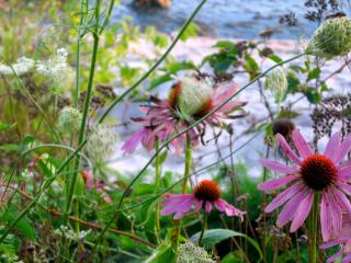 Willowmere - Cobourg - 6