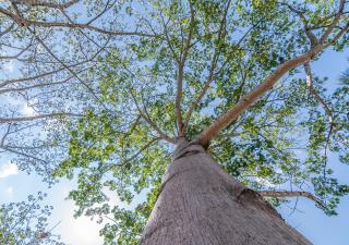 Hotel Colinas del Sol - 1