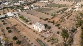 Olive Epavlis - Karpathos - 5