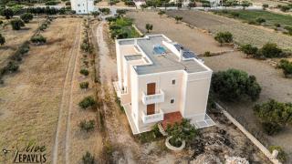Olive Epavlis - Karpathos - 4