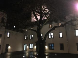 Haus Adams - das Wohlfühl Gästehaus - Boppard - 1
